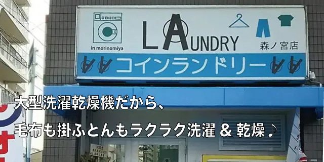 RCh[Xm{X̊Oω摜