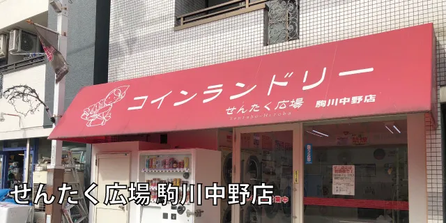 RCh[쒆X̊Oω摜