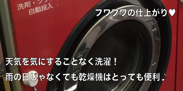 @̉摜